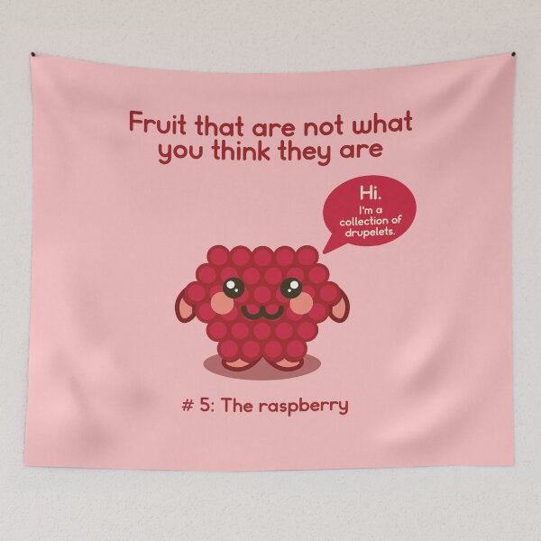 Item preview, Fruit That Are Not What You Think They Are: The Raspberry designed and sold by Venturesome Victrix.