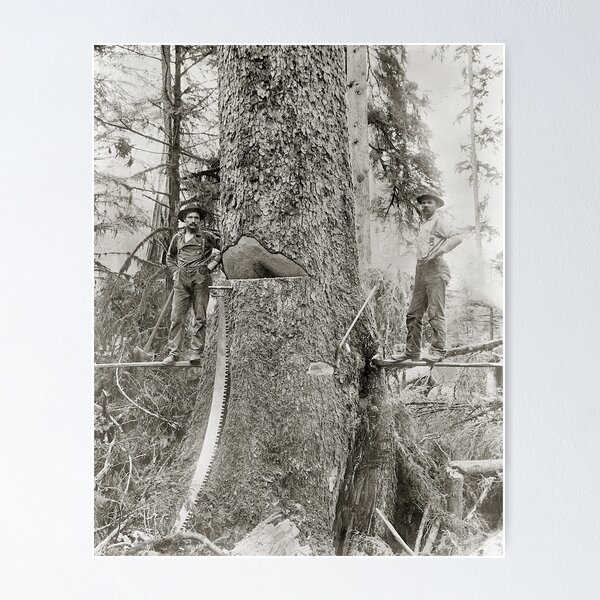 Item preview, Lumberjacks with Giant Fir, 1905. Vintage Photo designed and sold by historyphoto.
