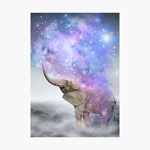 Don't Be Afraid To Dream Big Photographic Print