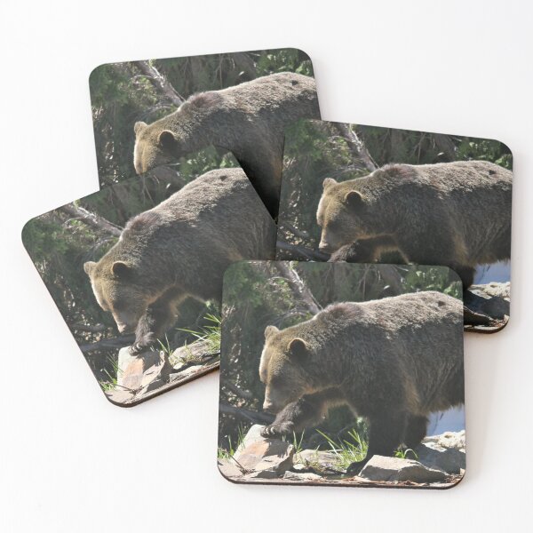 Item preview, Grizzly Bear on the Mountain... designed and sold by RichImage.
