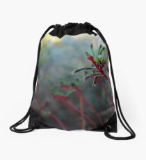 Kangaroo Paw Drawstring Bag
