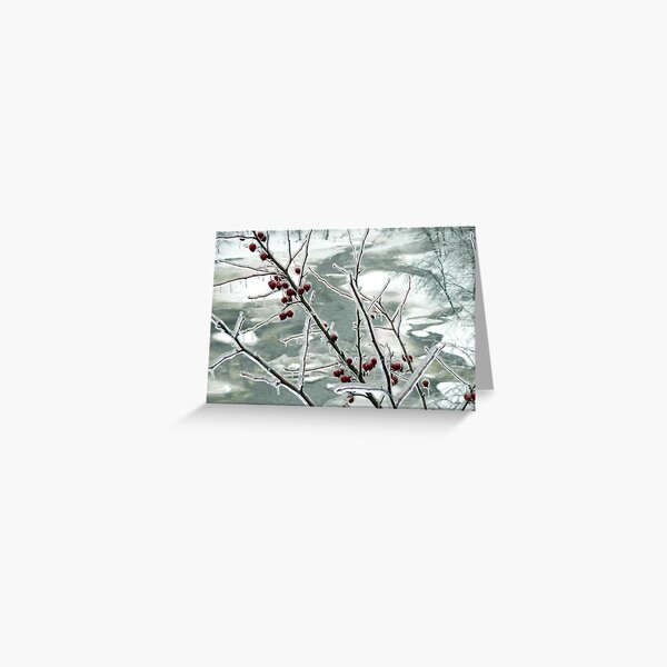 Frozen III by Isabelle Fraser Greeting Card