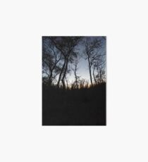 #tree #sunset #sky #trees #landscape #silhouette #winter #nature #sun #forest #sunrise #dusk #blue #morning #field #lake #fog #clouds #cloud #cold #night #evening #orange #mist #dark Art Board