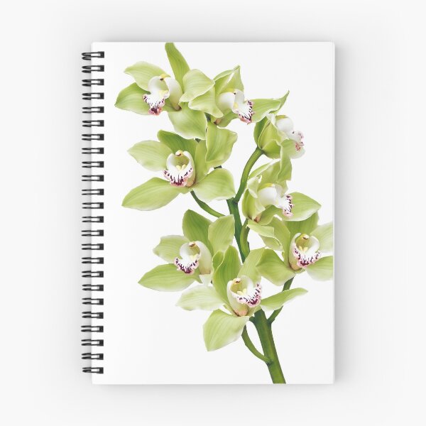 Item preview, green Cymbidium orchid flower floral designed and sold by wasootch.