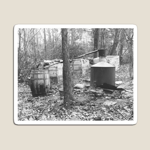Item preview, Moonshine Still in the Woods, 1931. Vintage Photo designed and sold by historyphoto.