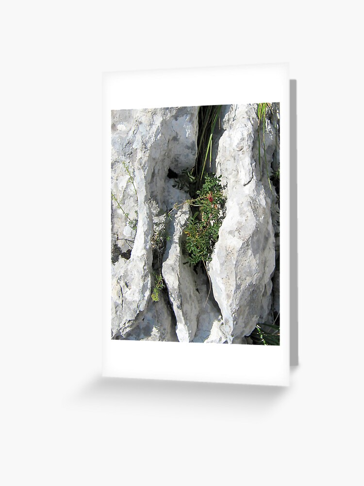 Thumbnail 1 of 2, Greeting Card, COURAGE designed and sold by TatianaMichaela.