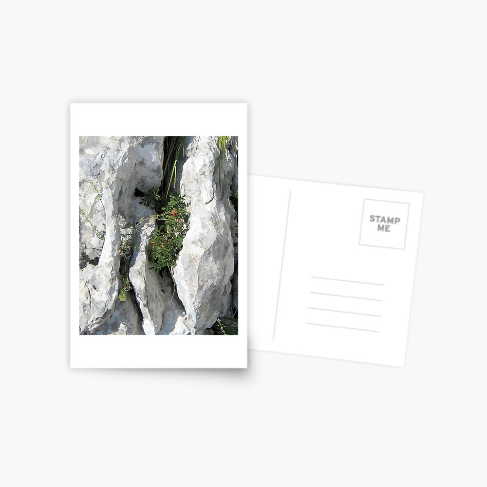 Item preview, Postcard designed and sold by TatianaMichaela.
