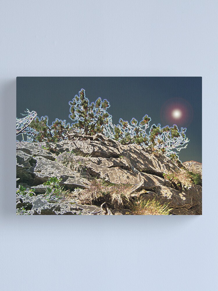 Thumbnail 1 of 3, Canvas Print, MOONLIGHT FANTASY designed and sold by TatianaMichaela.