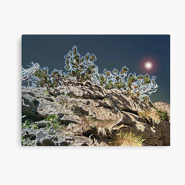 Canvas Print