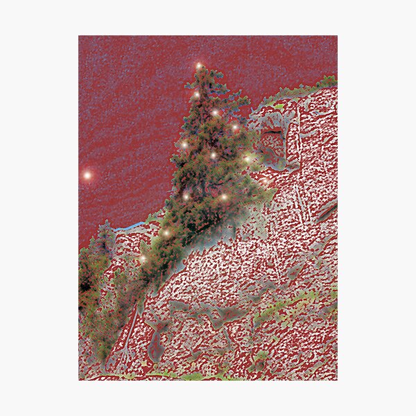 Photographic Print