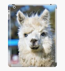 Funny and Cute Alpaca iPad Case/Skin