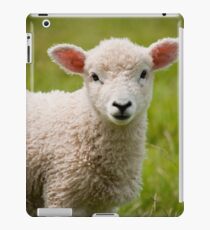 Baby Lamb iPad Case/Skin