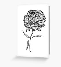 Peony Ink Sketch Greeting Card