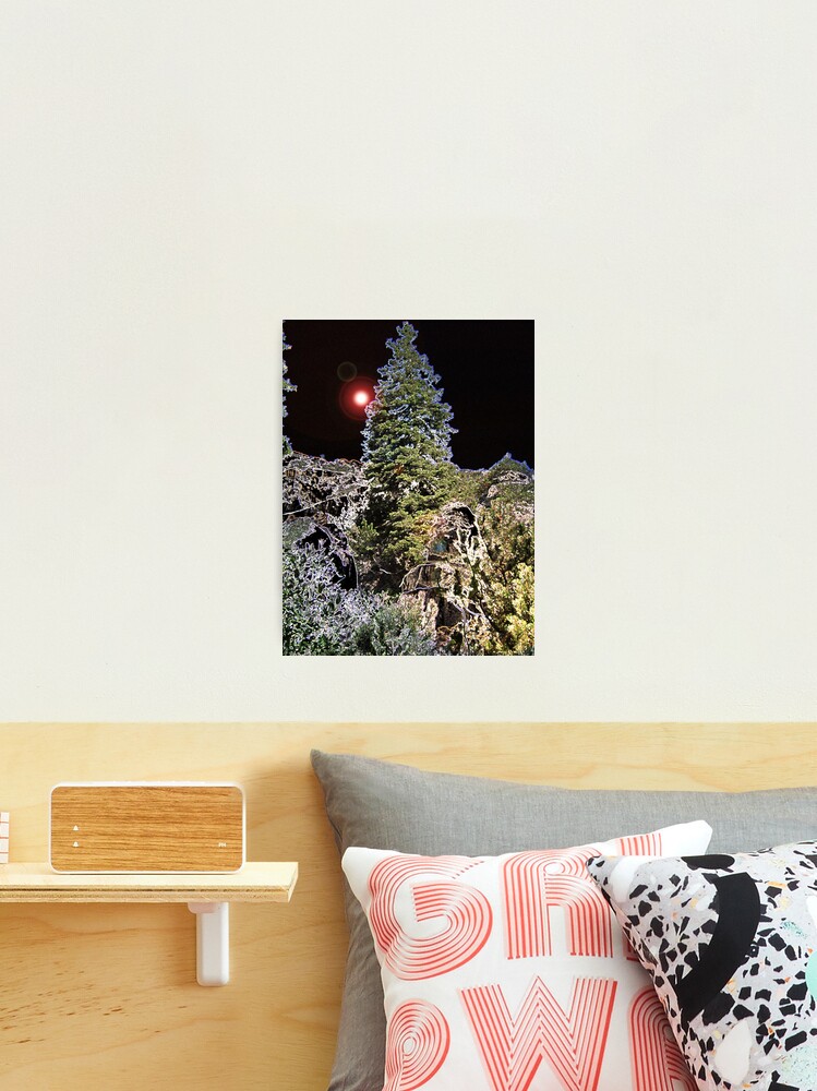Thumbnail 2 of 3, Photographic Print, SILENT NIGHT designed and sold by TatianaMichaela.