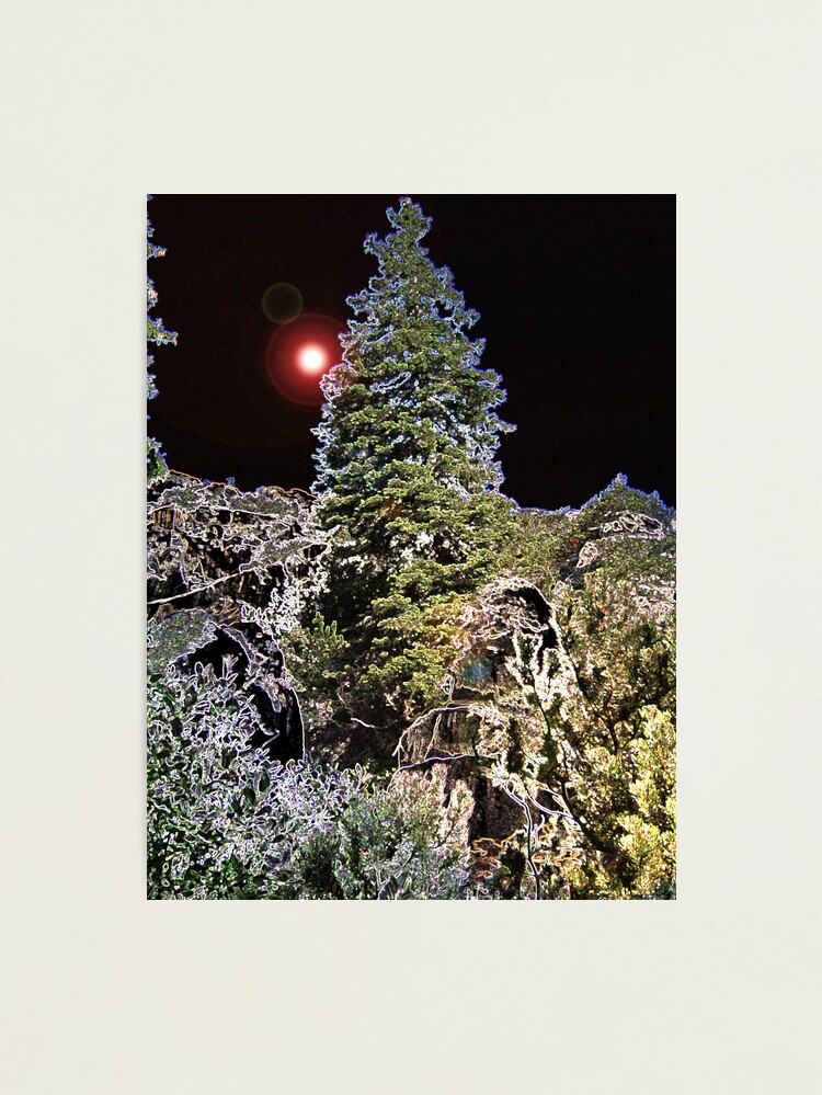 Thumbnail 1 of 3, Photographic Print, SILENT NIGHT designed and sold by TatianaMichaela.