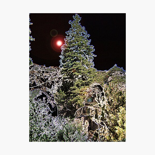 Photographic Print