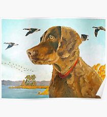 Chesapeake Bay Retriever Puppy Poster