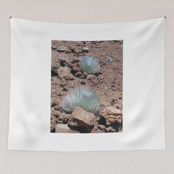 Item preview, Haleakala Silverswords, Hawaii designed and sold by hbsr911.
