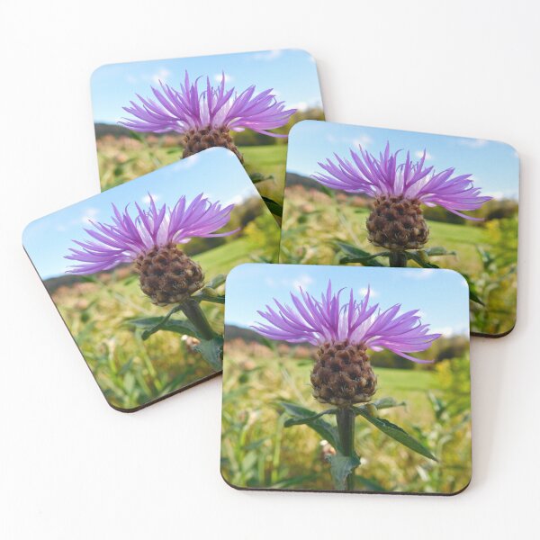 Item preview, Purple Flower in Vermont designed and sold by HilaryLeslie.