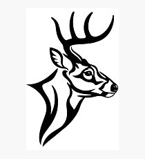 Lámina fotográfica Whitetail Buck