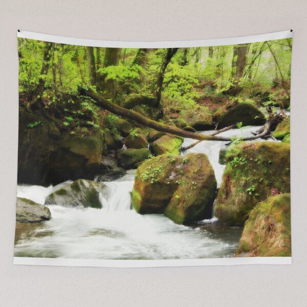 Item preview, Forest Stream  designed and sold by cjcphotography.