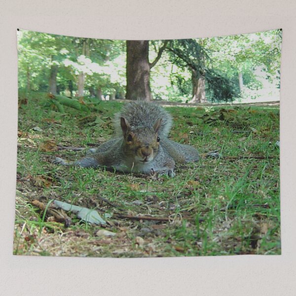 Item preview, Squirrels of Wimbledon 10 - commando squirrel  designed and sold by ellenhenry.