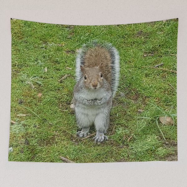 Item preview, Squirrels of Wimbledon 4 - this guy designed and sold by ellenhenry.