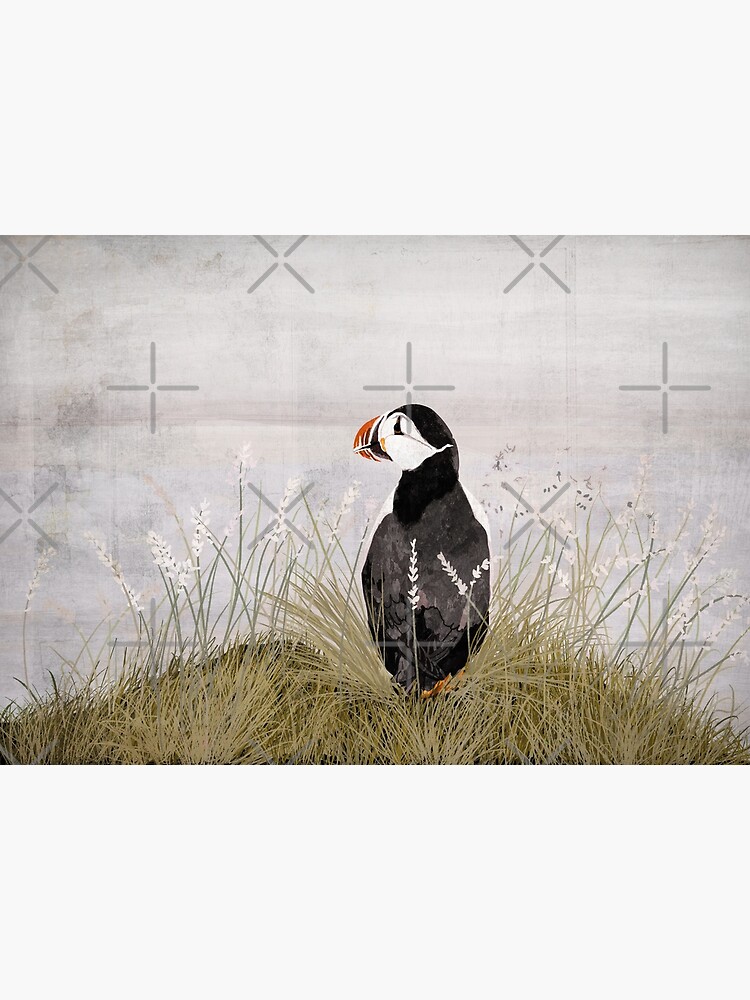 Puffin by katherineblower