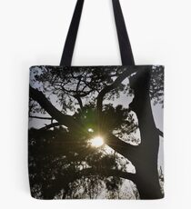 Sun in the trees Tote Bag
