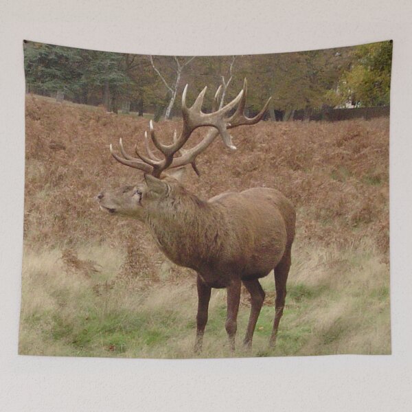 Item preview, A mighty stag in Bushy Park, Richmond upon Thames designed and sold by ellenhenry.