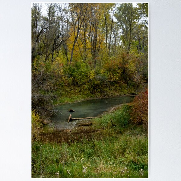 Item preview, Fall Creek designed and sold by TracyL72.