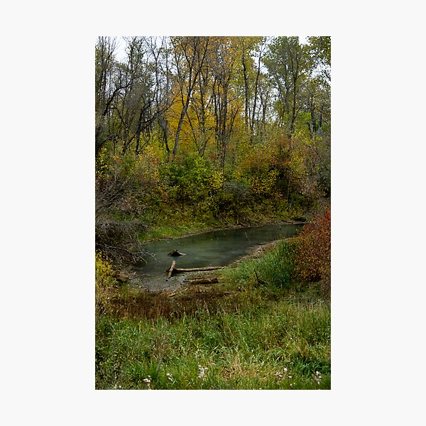 Item preview, Fall Creek designed and sold by TracyL72.