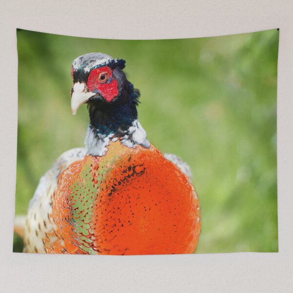Item preview, The Pleasant Orange Pheasant  designed and sold by FOLK ART FUSION by heidiannemorris.