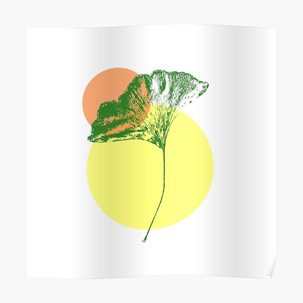 Ginkgo Leaf - #3 Poster