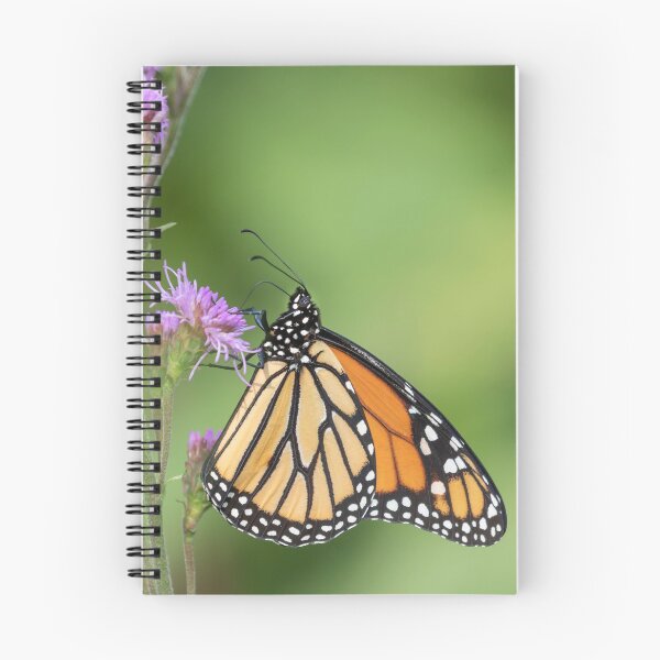 Item preview, Monarch 2018-21 designed and sold by Thomasyoung.