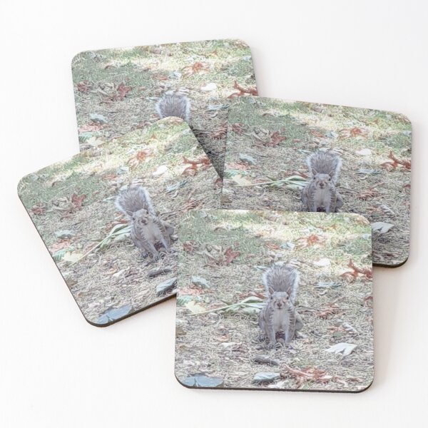 Item preview, Squirrels of Wimbledon 8 - who me asks the squirrel designed and sold by ellenhenry.