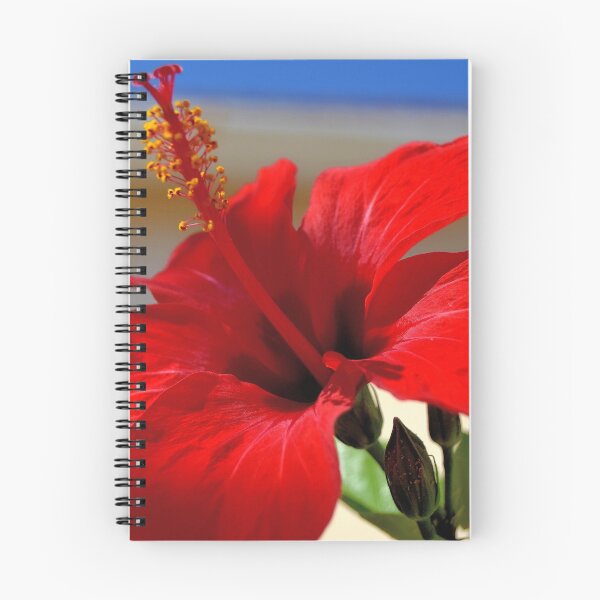 Item preview, flowers in Argostoli designed and sold by SteveHarris123.