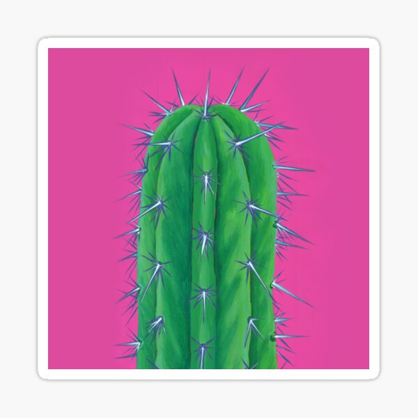 Prickly Cactus Sticker