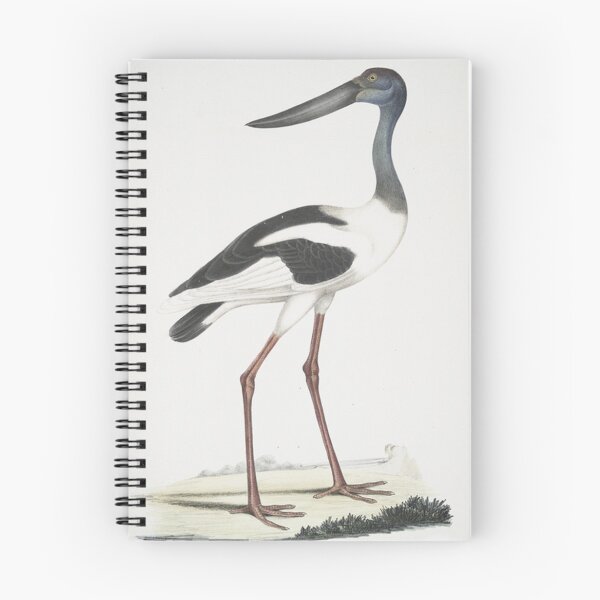 Item preview, Shoebill illustration designed and sold by Vintage Designs +.