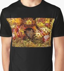 Autumn wild mouse with Horse chestnuts - conkers Graphic T-Shirt