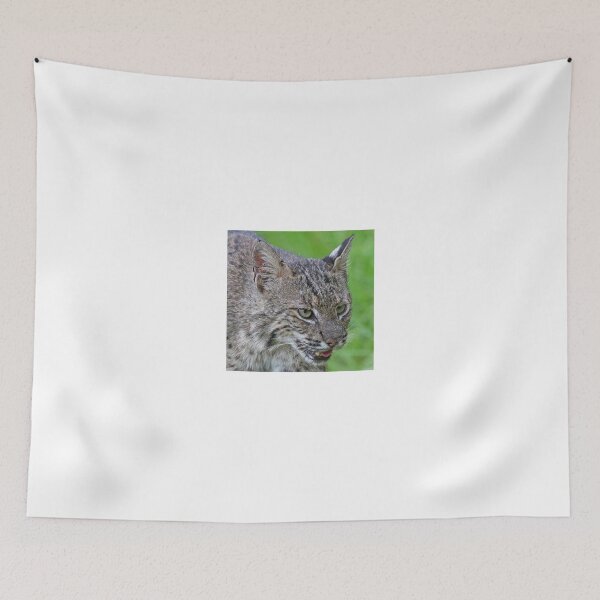 Artikelvorschau, Bobcat !! entworfen und verkauft von Anthony Goldman.