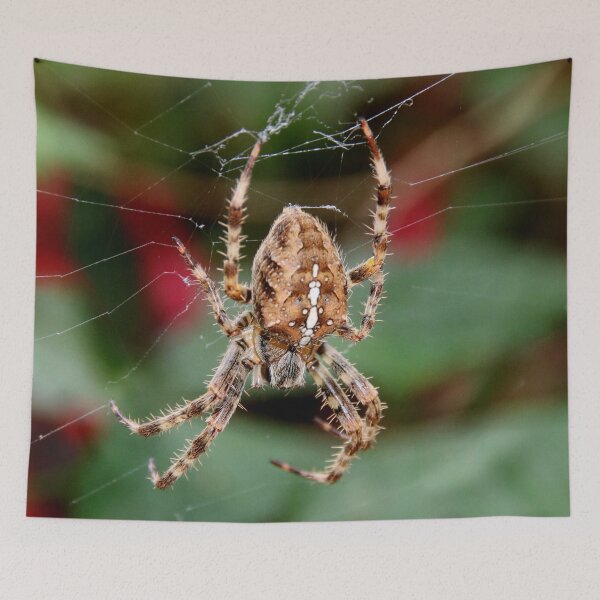 Item preview, Garden Cross Spider (araneus diadematus) designed and sold by AnnDixon.