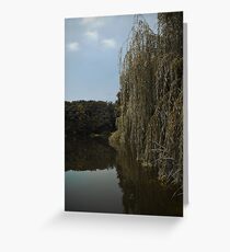 Fall on a lakeside Greeting Card
