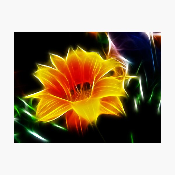 Fractal Frenzy Photographic Print