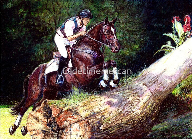 "Trakehner Eventing Horse Portrait" by Oldetimemercan | Redbubble