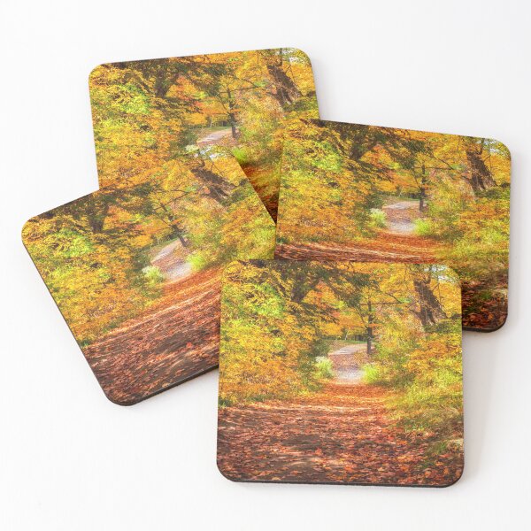 Item preview, Autumn Colours 8 - MacKenzie-King Estate designed and sold by Yannik Hay.