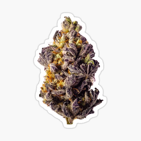 Purple Dolato Sticker