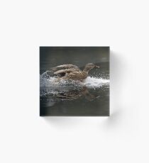 Clear for Landing Acrylic Block