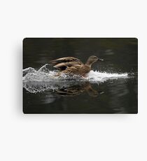 Clear for Landing Canvas Print