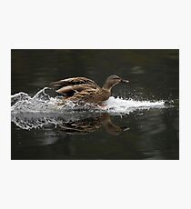 Clear for Landing Photographic Print